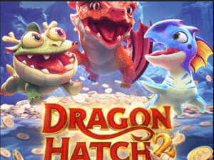 Dragon Hatch 