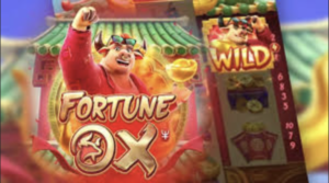 Melhores horários para jogar no jogo do touro hoje